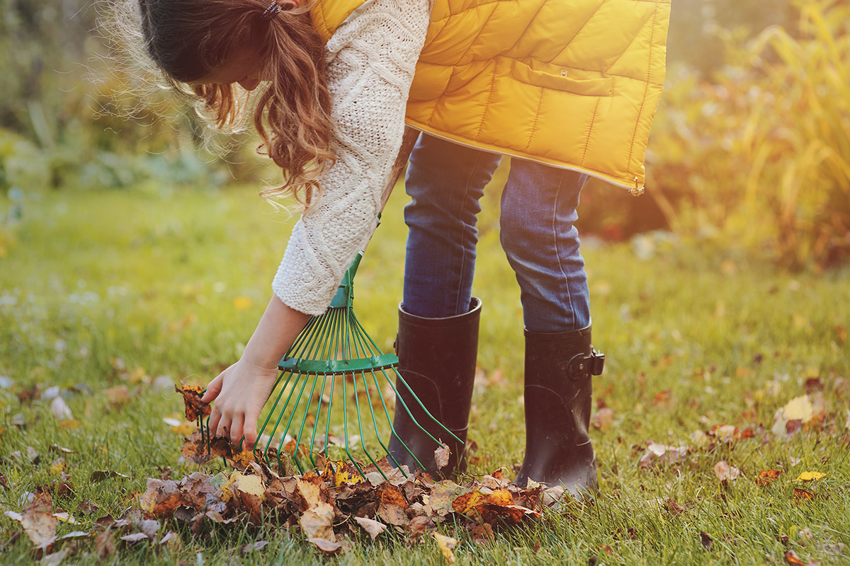 TRAVAUX AU JARDIN : QUE FAIRE À LA RENTRÉE ?