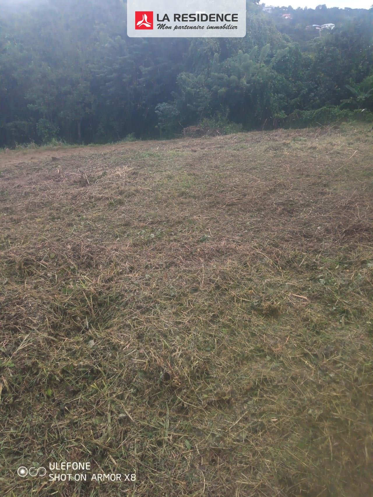 Prévisualisation photo affaire