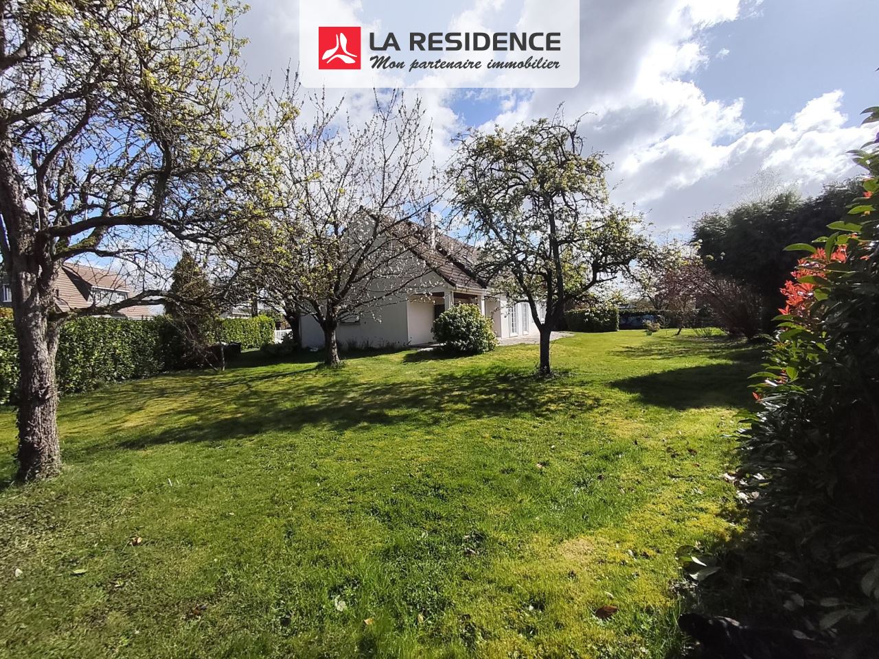 Prévisualisation photo affaire