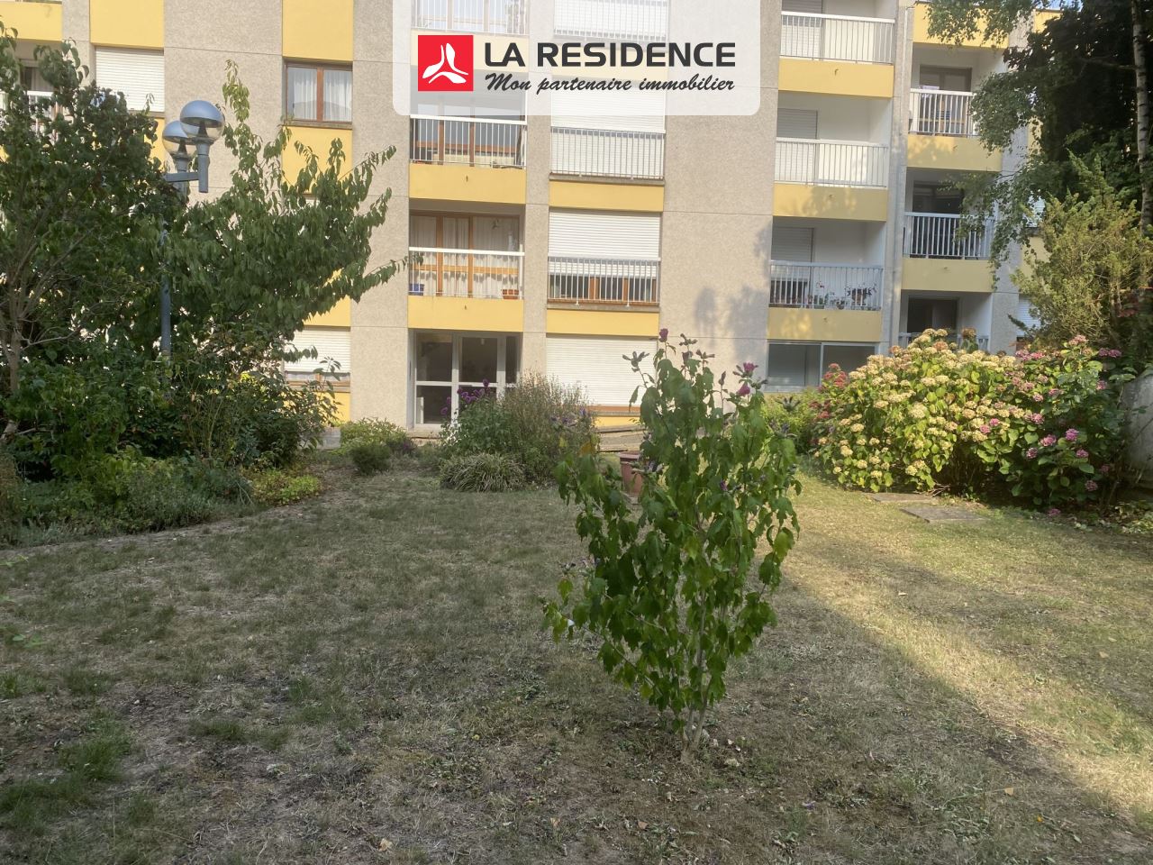 Prévisualisation photo affaire