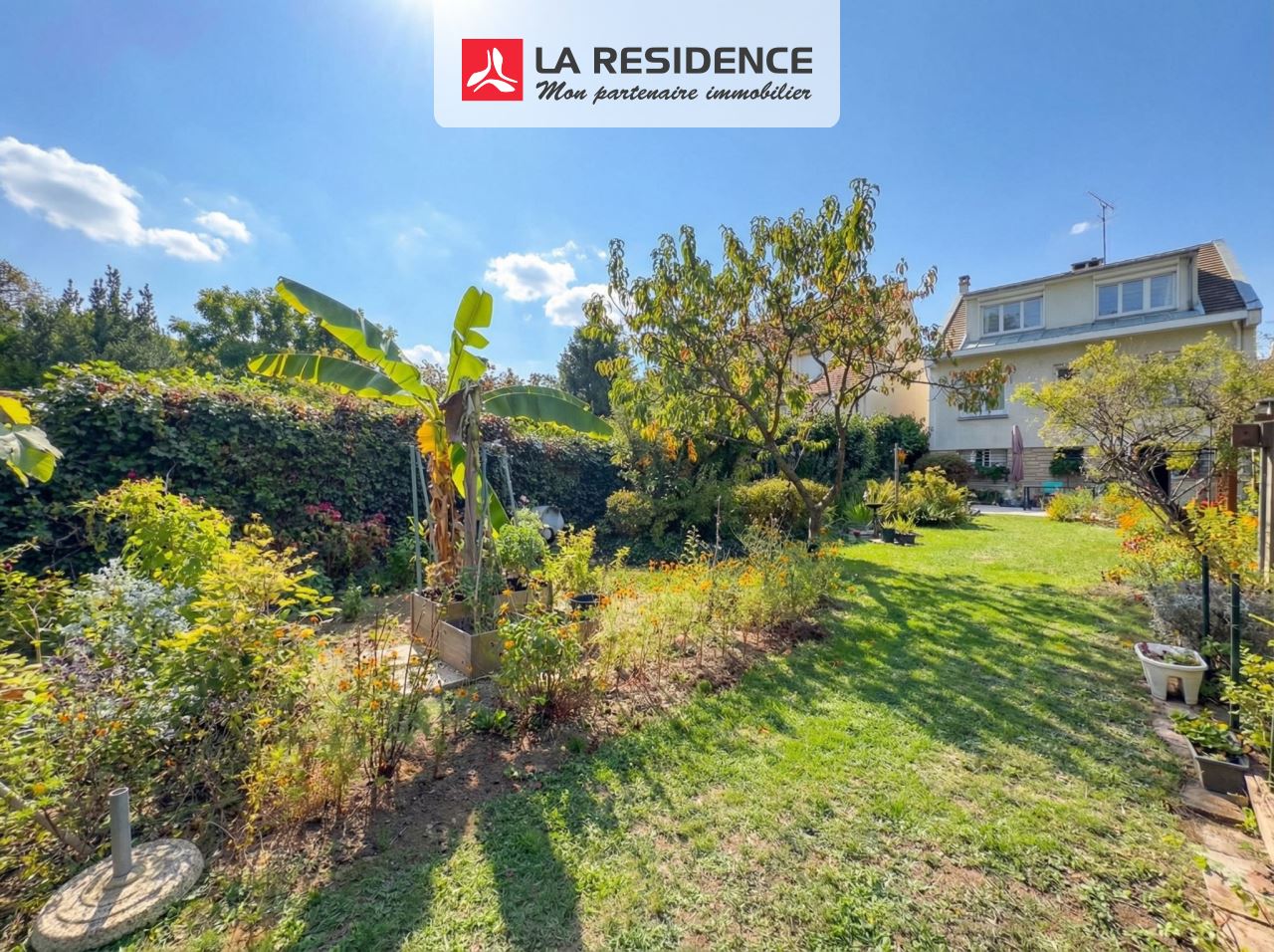 Prévisualisation photo affaire