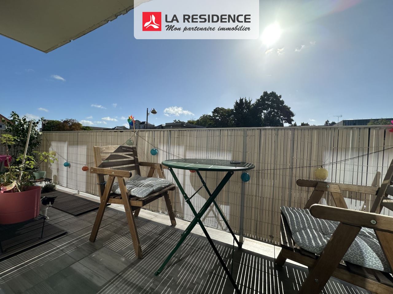 Prévisualisation photo affaire