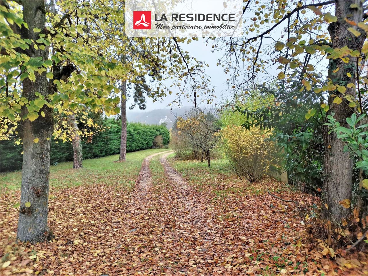 Prévisualisation photo affaire