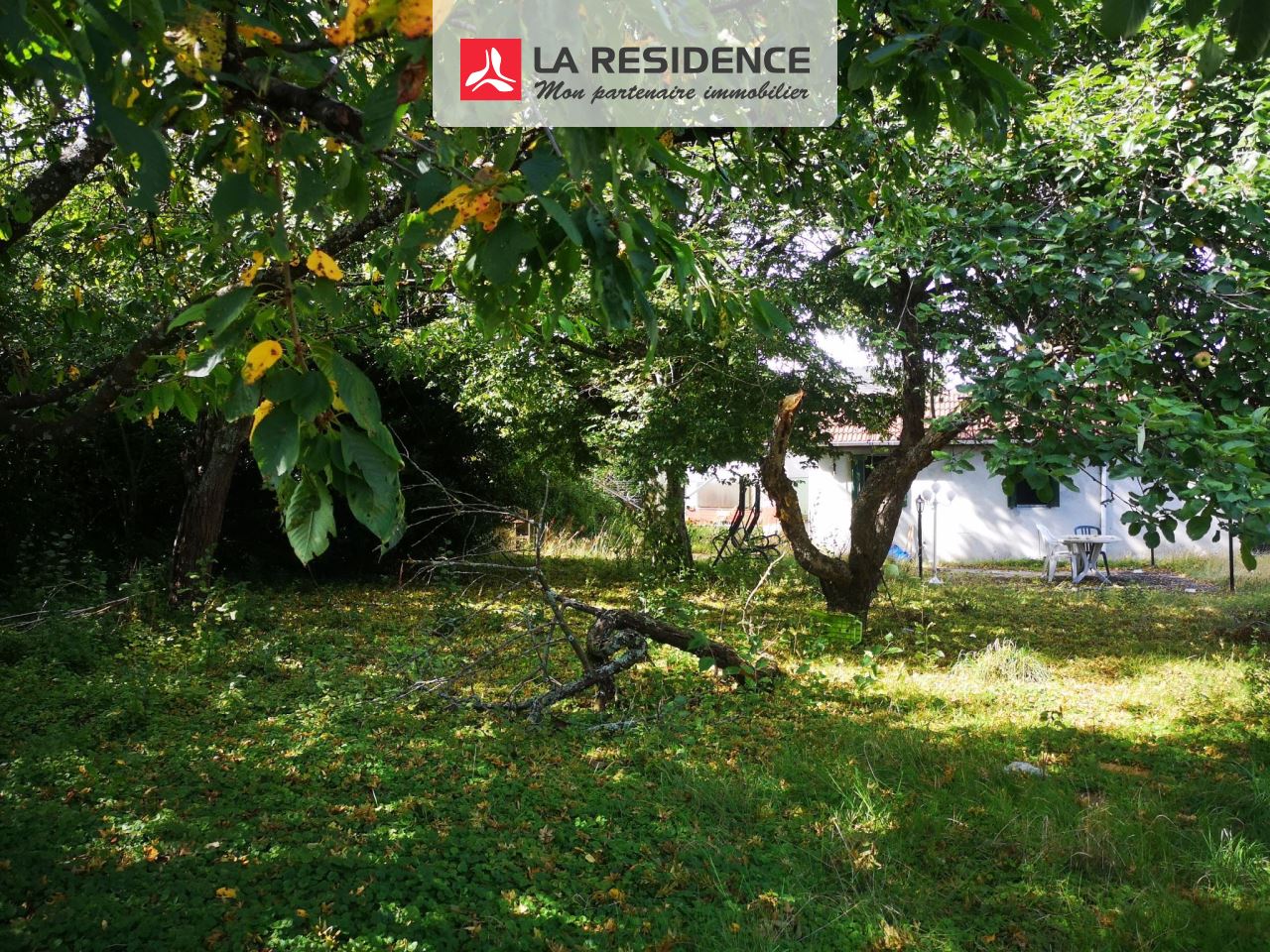 Prévisualisation photo affaire