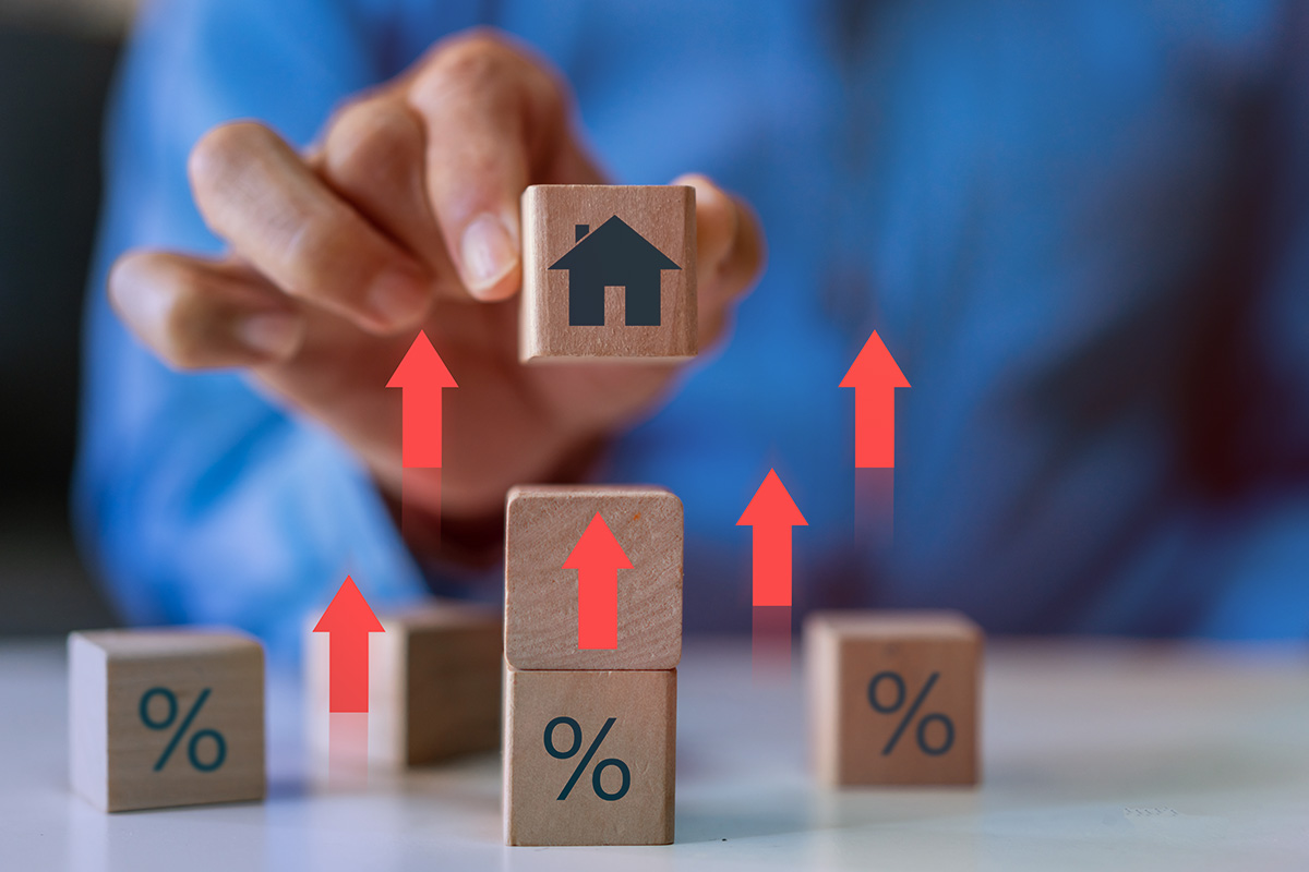 Prévisualisation photo article