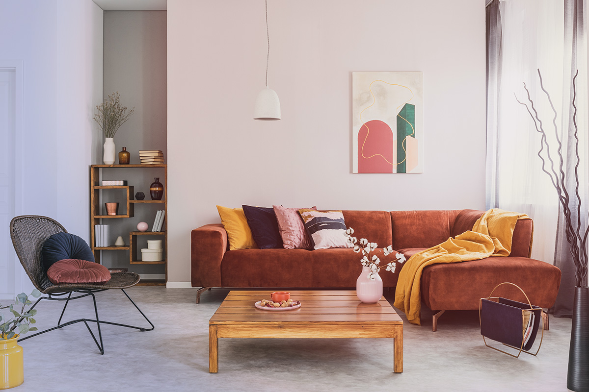 Prévisualisation photo article